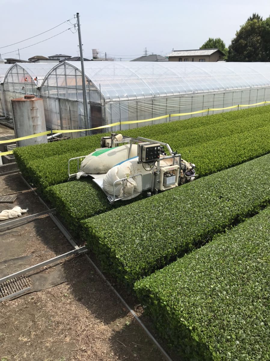 2023年産 新茶 送料無料 深むし茶 深蒸し茶5種１００ｇ×5袋 深蒸茶　緑茶！ギフトに最適！_画像3