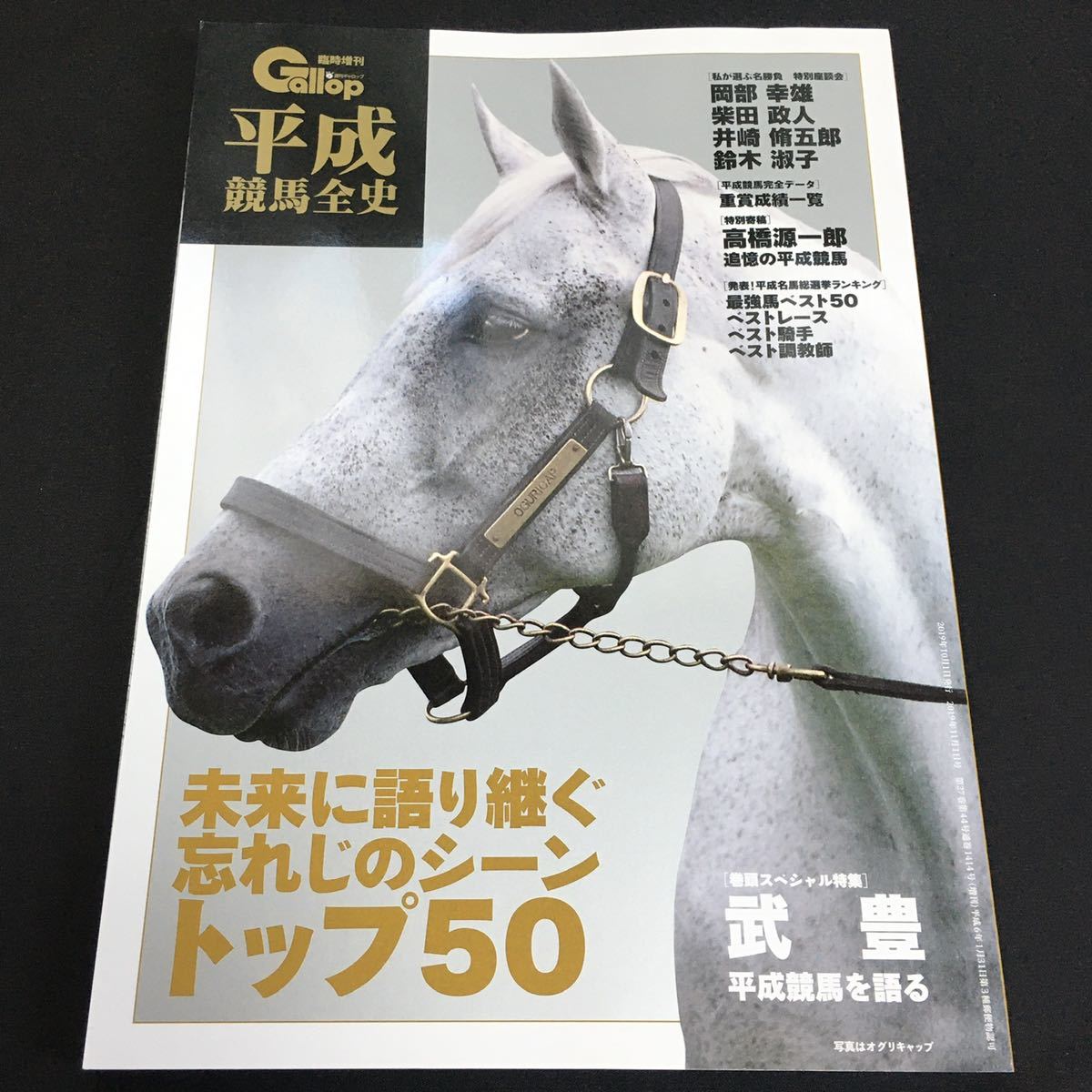 [ 2019年発行 ] 週刊 ギャロップ 平成競馬全史 未来に語り継ぐ忘れじのシーン 1989 2019 Gallop 臨時増刊 武豊 平成 競馬 雑誌 本 写真_画像1