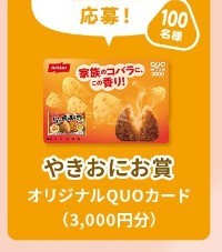 レシート 懸賞 応募★QUOガード3000円分が100名様に当たる！ニッスイ キャンペーン 12/31締切 送料無料～_画像1