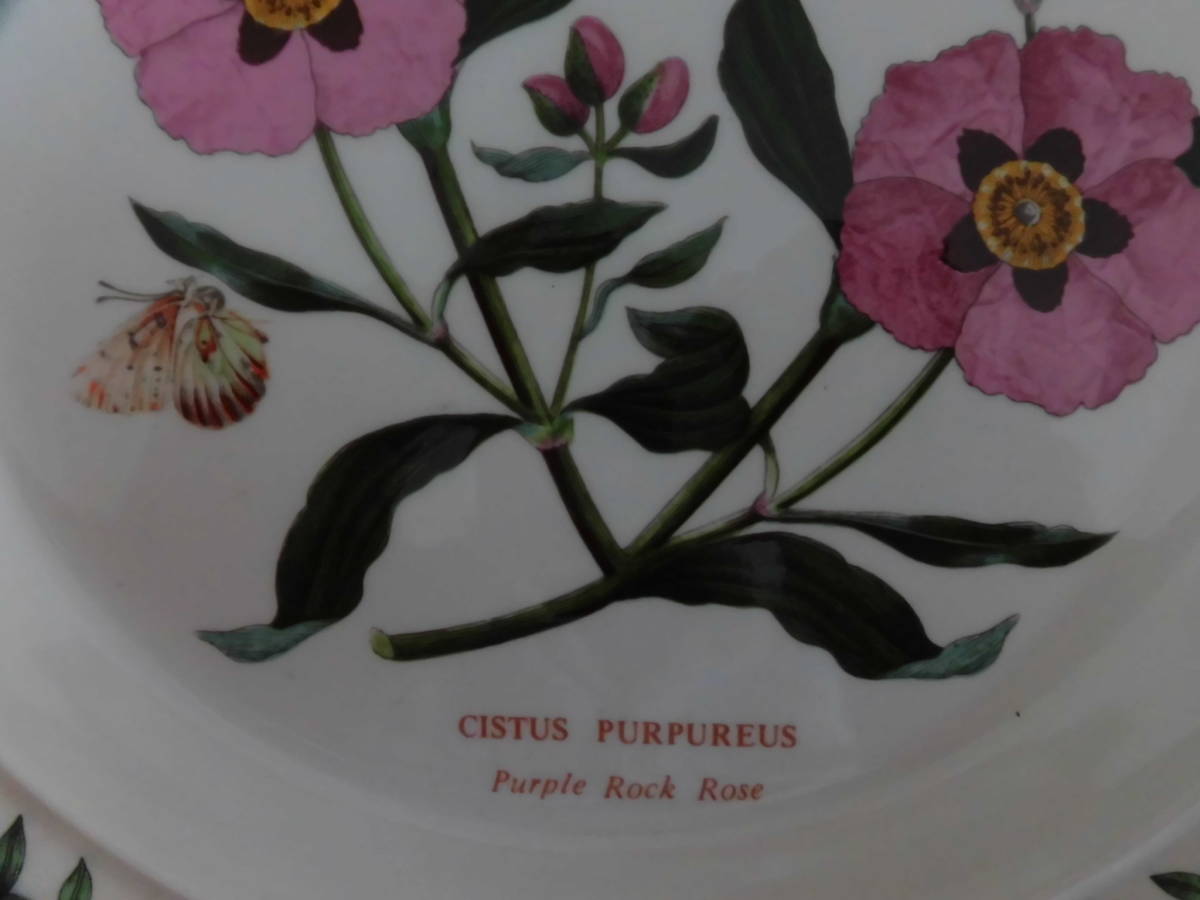 ポートメリオン★ボタニックガーデン、プレート、皿☆パープルロックローズ、PORTMEIRION BOTANIC GARDEN CISTUS PURPUREUS _画像3