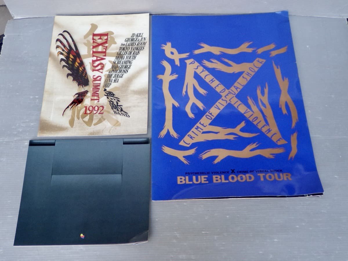 まとめ売り!!【ツアーパンフ】X JAPAN、hideソロツアー〈特大パンフふくむ まとめて13冊セット〉◆BLUE BLOOD TOUR//ROSE&BLOOD/ 他_画像2