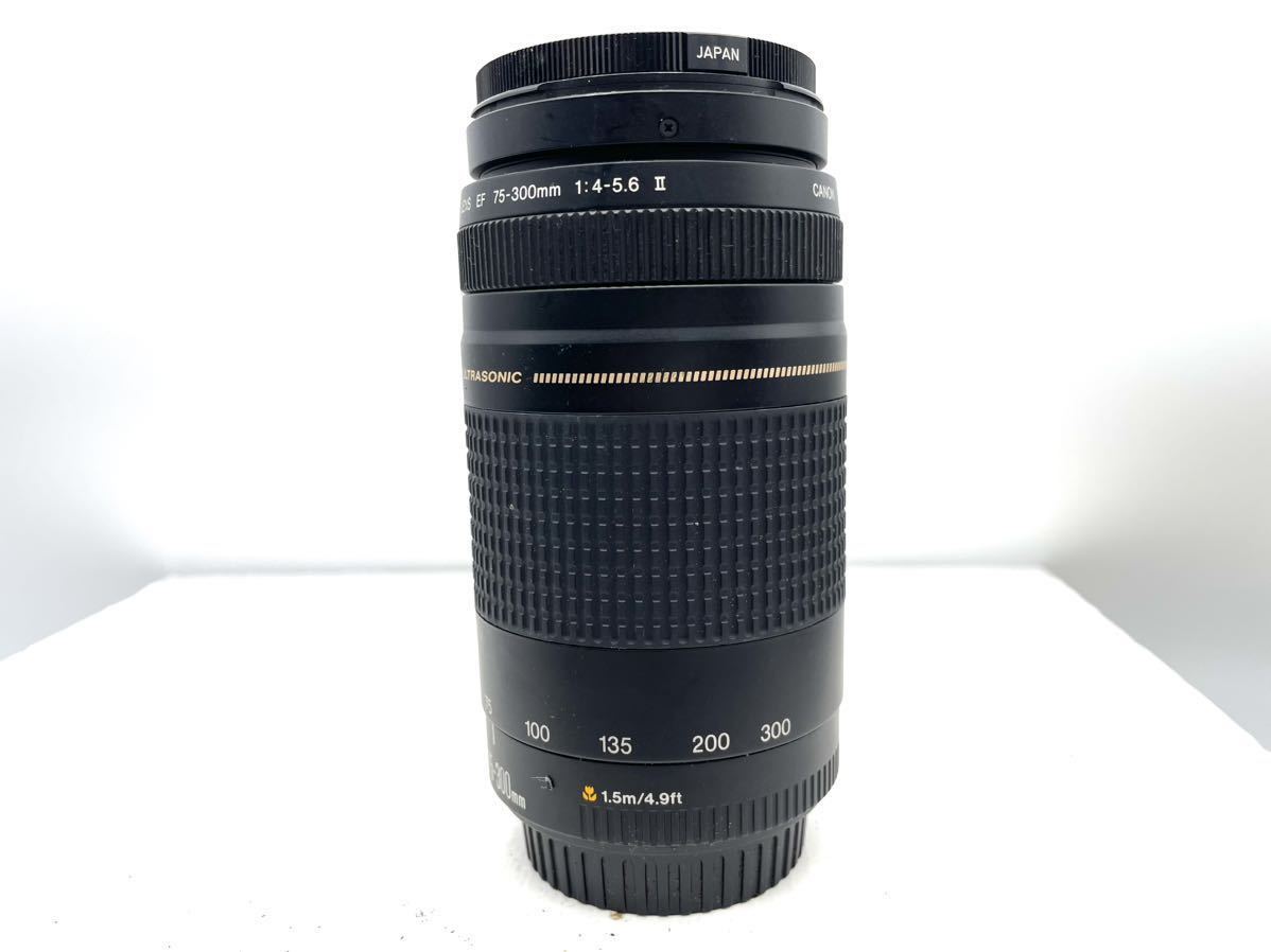 Canon EF 75-300mm 4-5.6 Ⅱ ZOOM レンズ キャノン CANON 類似品多数出品中 同梱可能_画像4