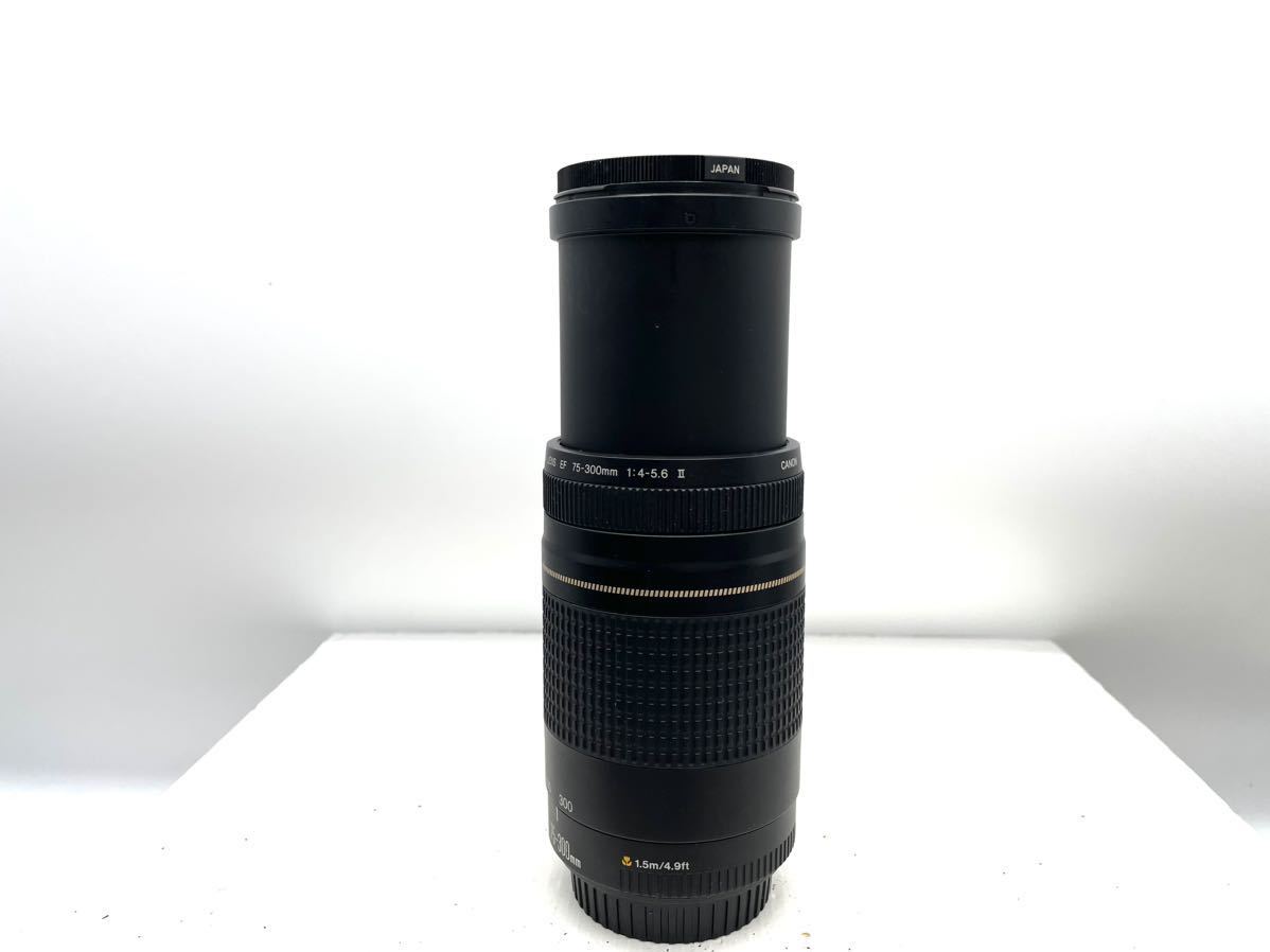 Canon EF 75-300mm 4-5.6 Ⅱ ZOOM レンズ キャノン CANON 類似品多数出品中 同梱可能_画像6