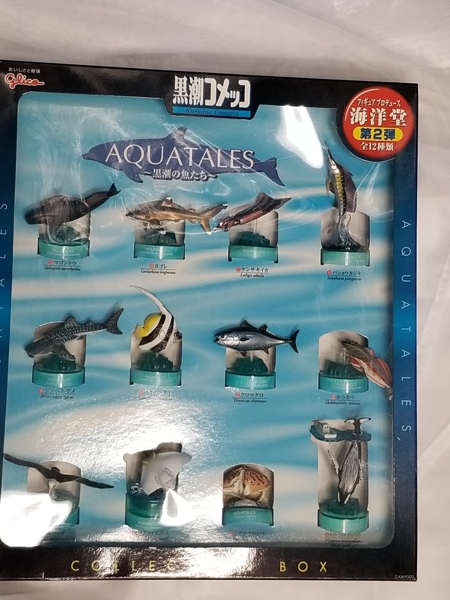 Amazon | Jyi18GKカプセルQミュージアム日本の動物4四国編8種 Amazon | Jyi18GKカプセルQミュージアム日本の動物4四国編8種