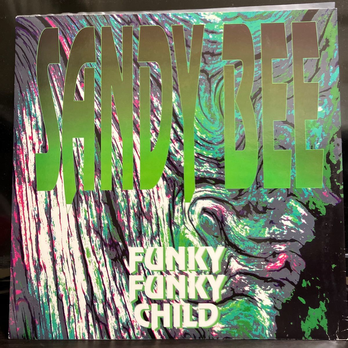 Sandy Bee / Funky Funky Child 【12inch】_画像1