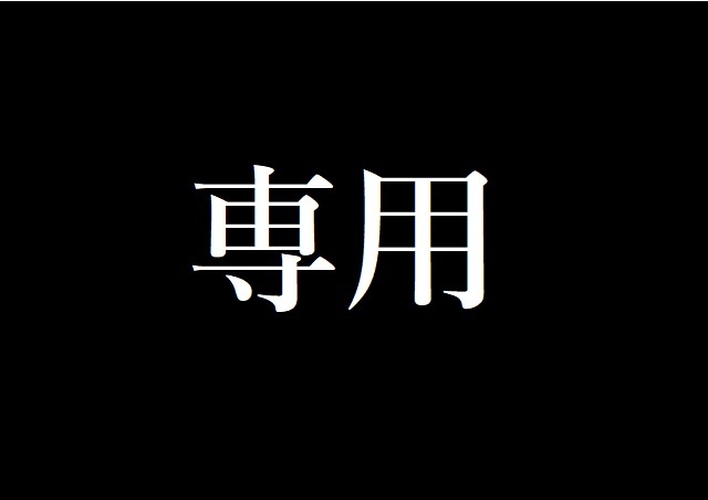 pnd様 専用|Yahoo!フリマ(旧PayPayフリマ)