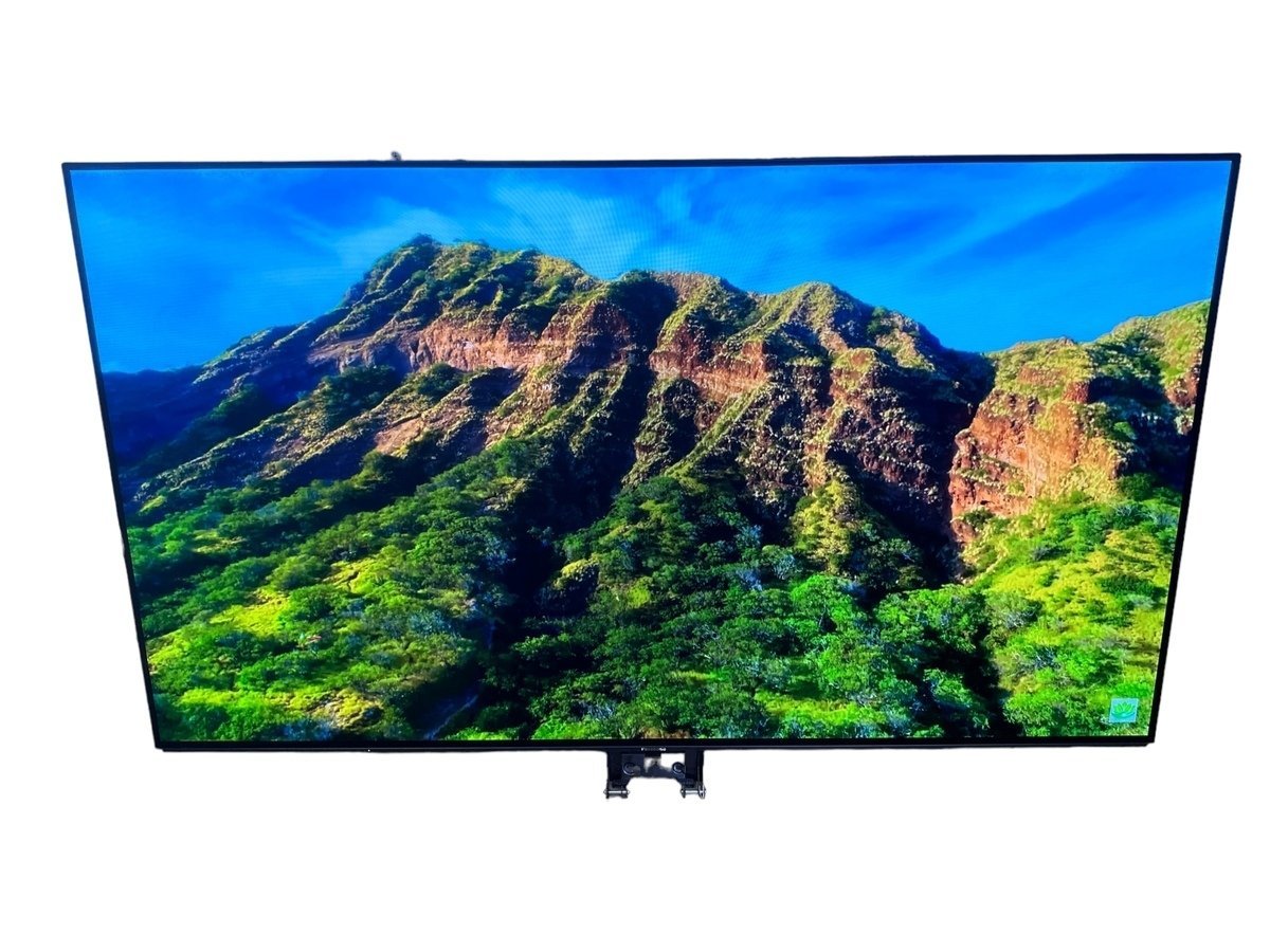 【店頭引取限定】美品 Panasonic パナソニック VIERA ビエラ TH-65FZ1000 65V型 4K 有機EL テレビ 2019年製 スピーカー付き 家電 大画面_画像2