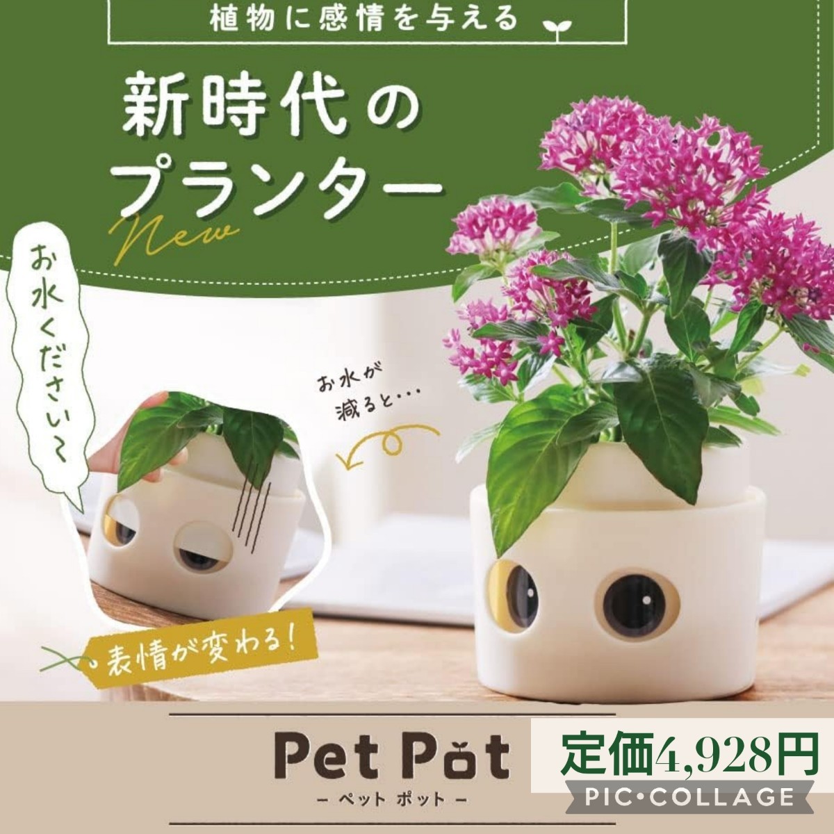  new goods * regular price 4,928 jpy Pet Pot pet pot expression . changes new era. planter plant watering kitchen garden gardening decorative plant plant pot Ame pra 