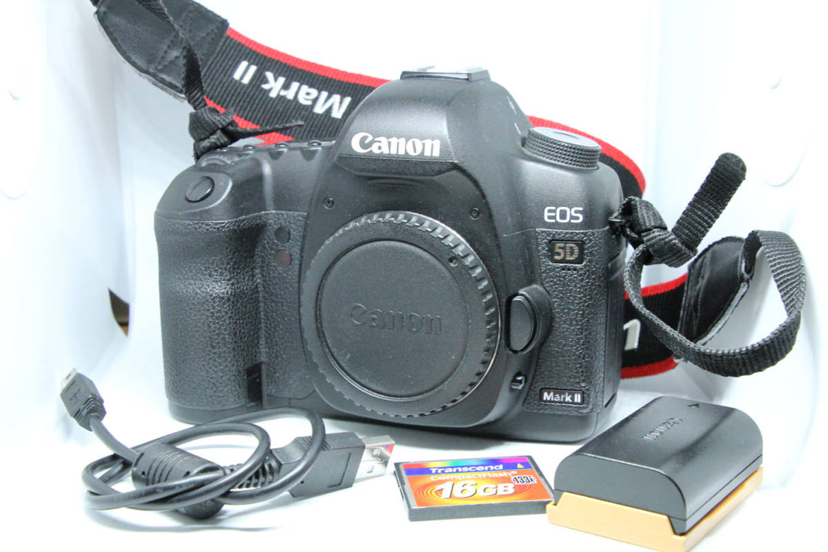 Canon EOS 5D markII Speedlite 550EX Tamron A010 A005　セットで_画像2