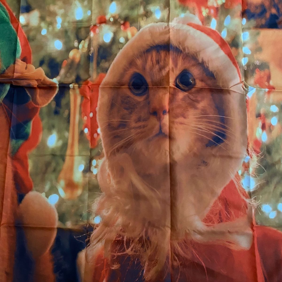 タペストリー クリスマス 背景布 猫 可愛い ウォールデコ フォトブース 撮影 模様替え サンタさん