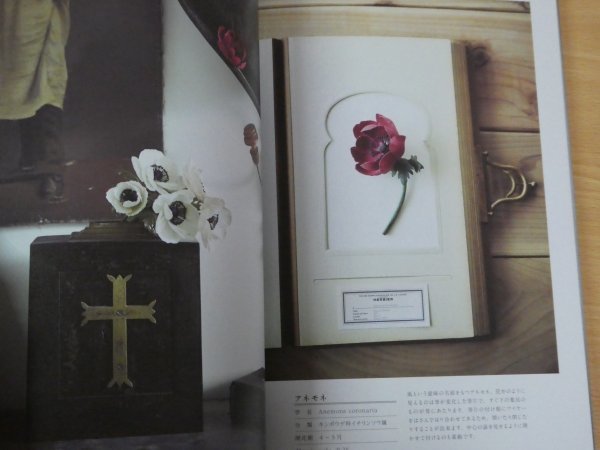 布花標本 布で作る20の植物とブローチ utopiano 送料185円_画像9
