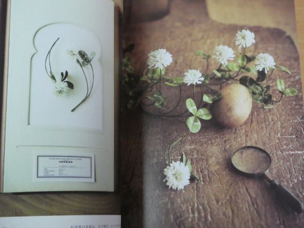 布花標本 布で作る20の植物とブローチ utopiano 送料185円_画像6