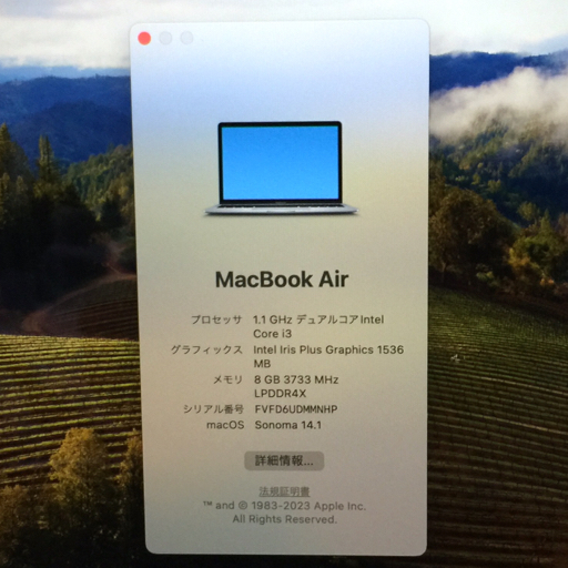 1円 Apple MacBook Air 13インチ A2179 MWTJ2J/A Intel Core i3 1.1GHz メモリ/8GB SSD/256GB ノートパソコン PC_画像8