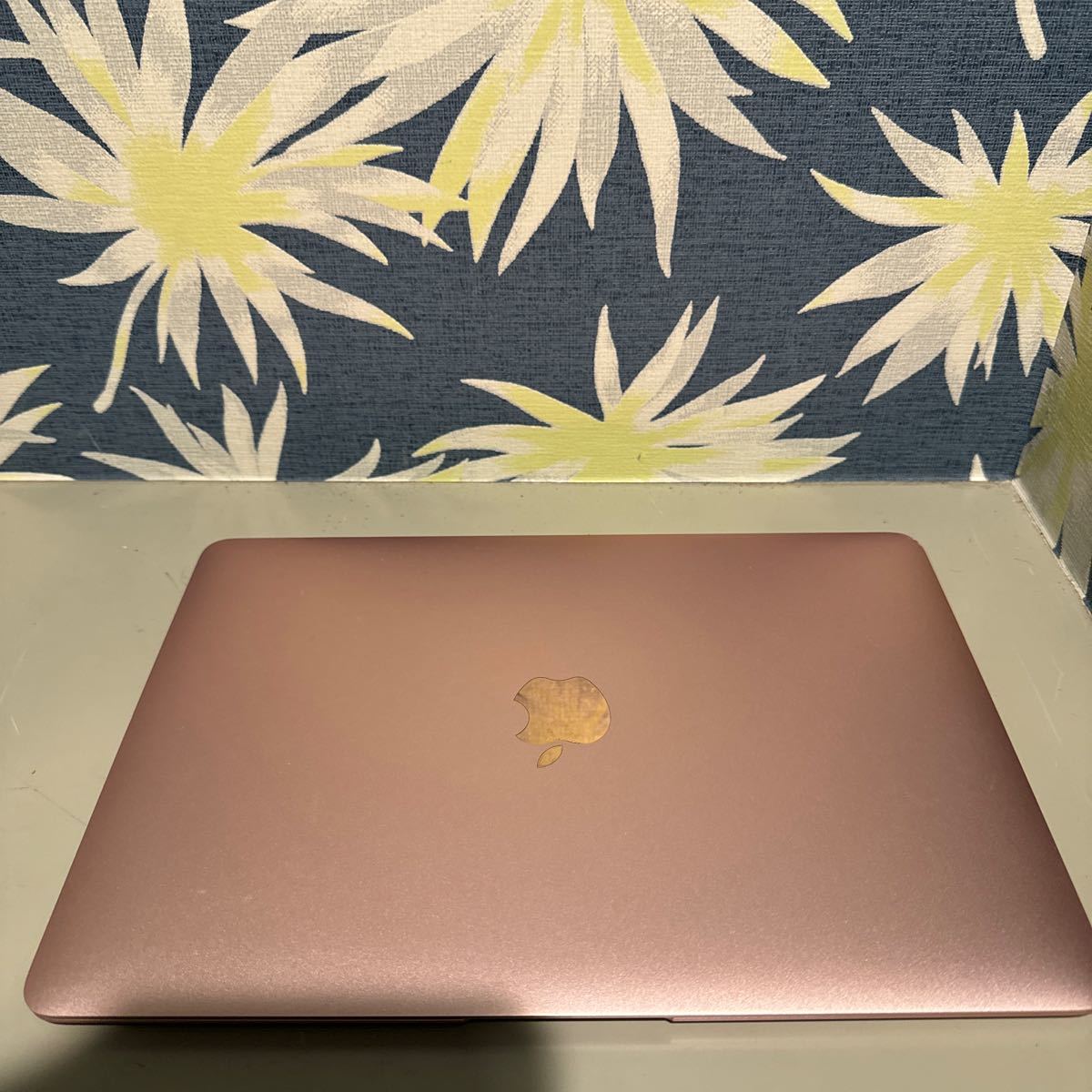 Apple MacBook ゴールド 8G Retina12inch-