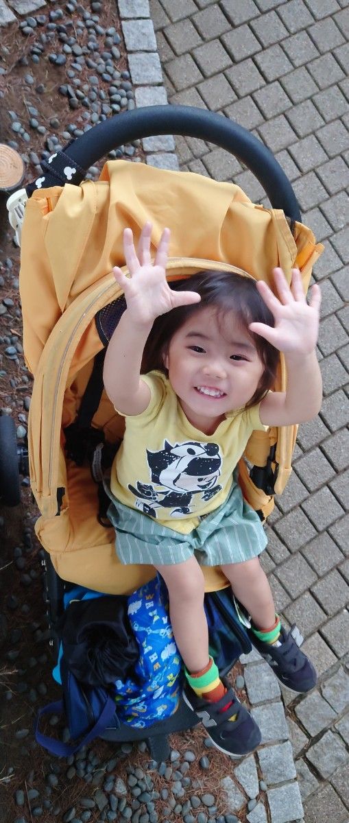 Babby Buggy【Air Buggy ( Coco )】|