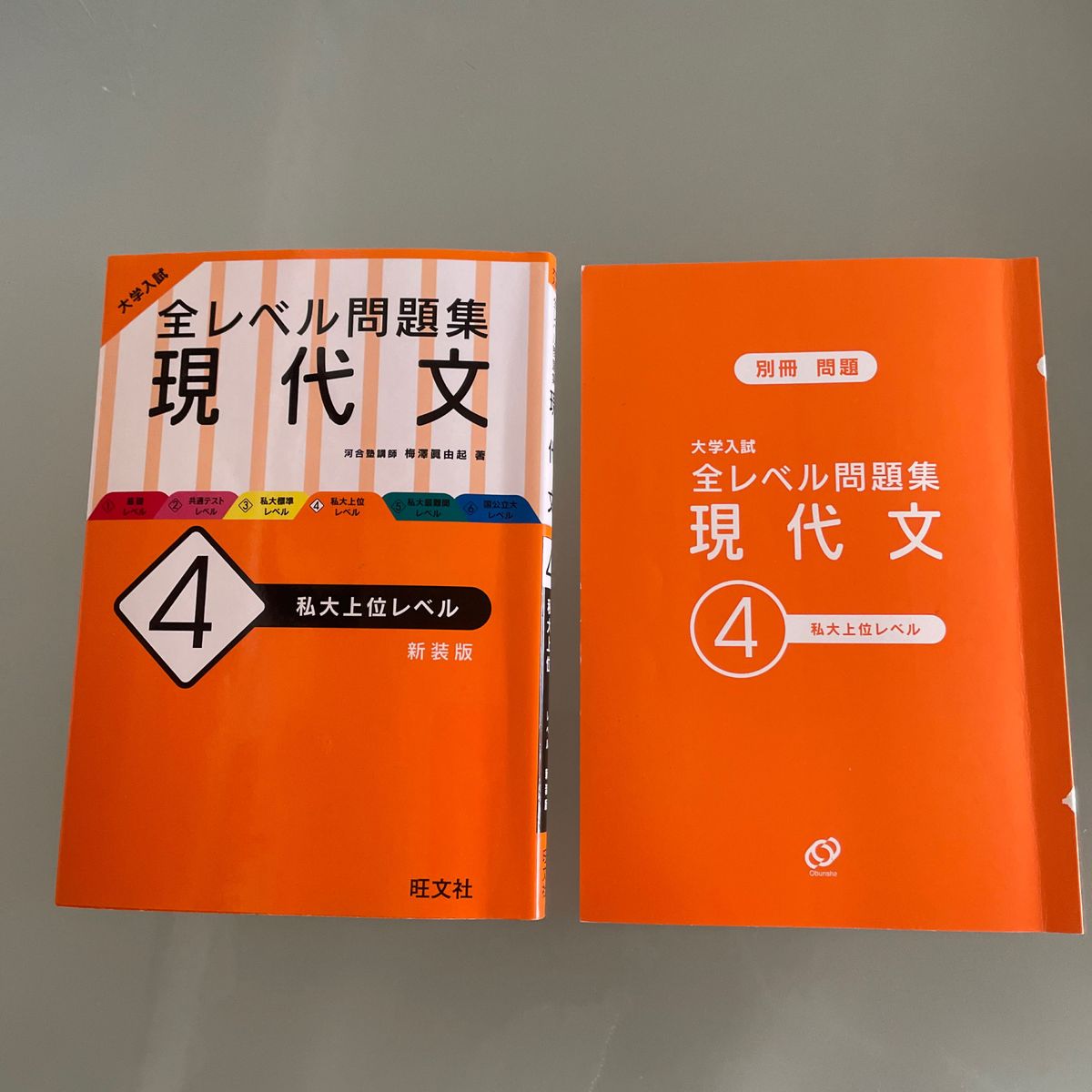 大学　入試　全レベル　問題集　現代文　４　新装版 梅澤眞由起／著　旺文社