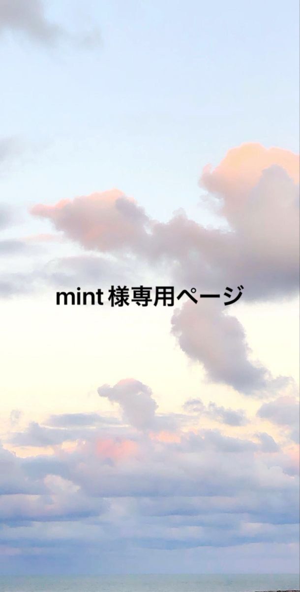 mint様専用ページ｜Yahoo!フリマ（旧PayPayフリマ）