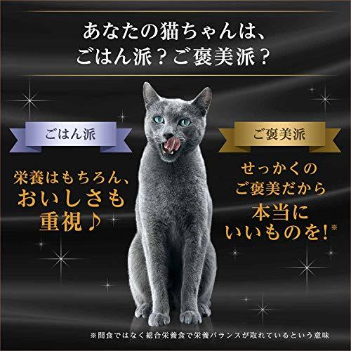 シーバ デュオ キャットフード 厳選お魚とお肉味グルメセレクション 成猫用 200g×4個(まとめ買い)_画像7