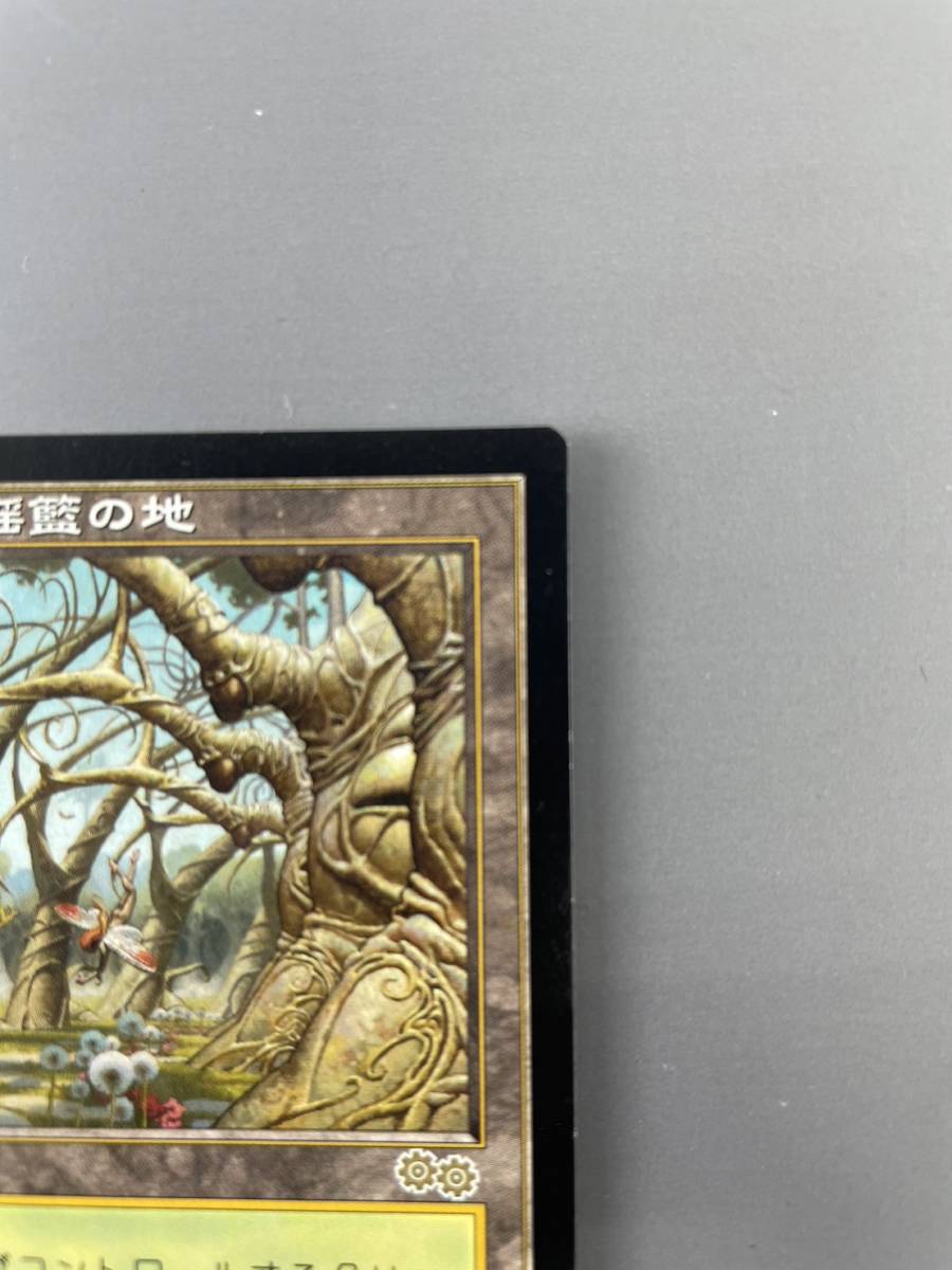 （M1）マニア必見！★マジックザギャザリング ガイアの揺籃の地/土地/R/321/350★MTG　カード　トレカ　Gaea's Cradle★傷みあり！_画像3