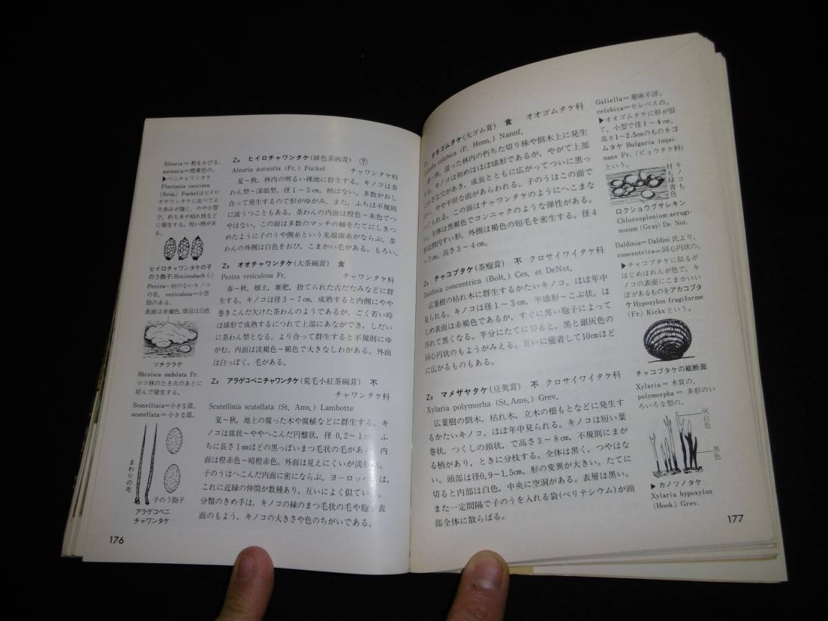 【中古 送料込】『検索入門 きのこ図鑑』上田俊穂 著 保育社 昭和61年6月1日 重版発行 ◆N11-482_画像6