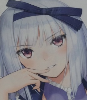 最終値下げ シャイニング・ブレイド/裏雪姫/抱き枕カバー/T2 WORKS/Tony/Ciel/SEGA ART 抱き枕