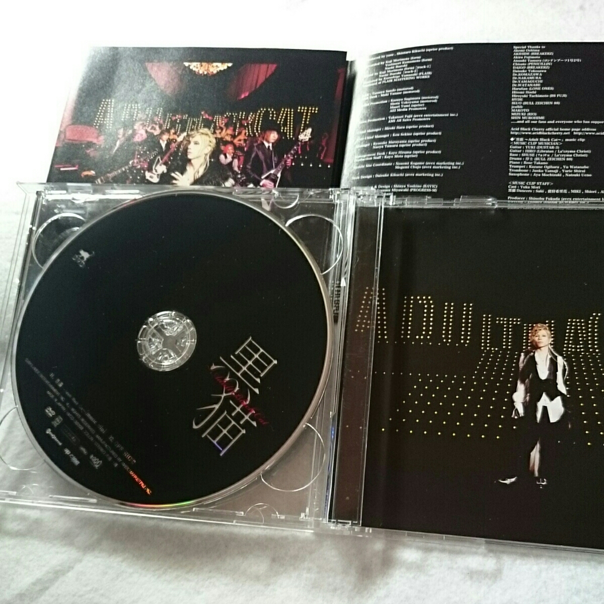 【10点以上の落札で2割引！】(T-10)Acid Black Cherry/黒猫～Adult Black Cat～/CD+DVD_画像3