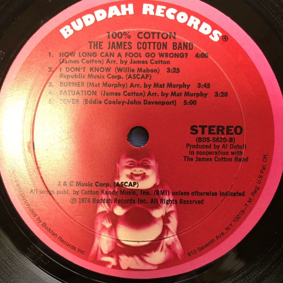 ジェームス・コットン The James Cotton Band 100%COTTON LP レコード 5点以上落札で送料無料V_画像4