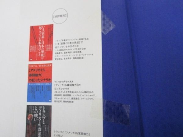 トランプvs金正恩 その暗闘・裏側の超真相 未来がわかるアメリカ1%寡頭権力の巨大地殻変動 li0511-if3-ba249570_画像8