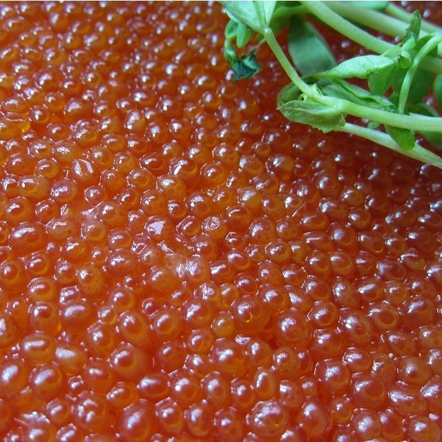 10本、極上品 「イクラ醤油味500g」もちろん、国内製造　USA産紅鮭を使用　_画像7