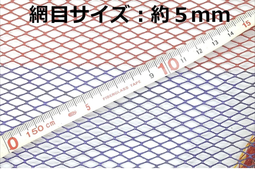 ③40cm TTRオリジナル レインボータモ網/TEAM釣男RAINBOW_画像2