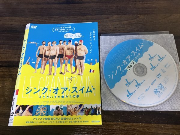 シンク・オア・スイム イチかバチか俺たちの夢　DVD　 マチュー・アマルリック　ギョーム・カネ　即決　送料200円　1103_画像1