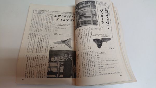 ☆フィッシュマガジン　１９７０年～１９７３年　４５冊セット　※１９７１年 12冊 他　当時物 昭和レトロ ヴィンテージ 観賞魚_画像9