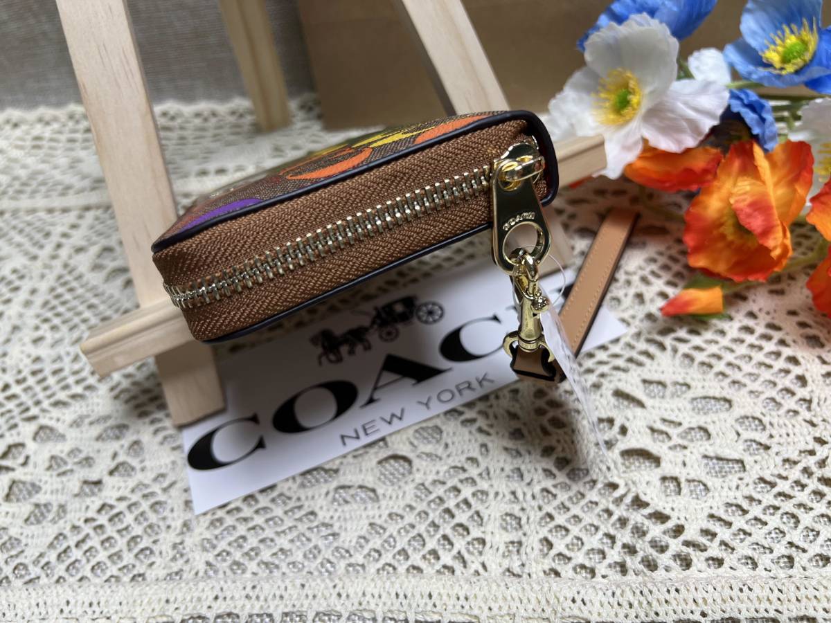 コーチ COACH 長財布 財布 シグネチャー レインボー ラウンド