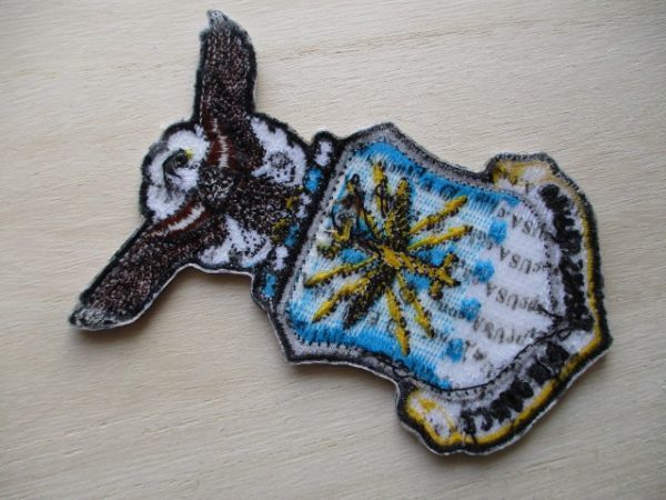 【送料無料】アメリカ空軍 UNITED STATES AIR FORCEパッチ ワッペン/刺繍LOGOロゴpatchエアフォース米空軍USAF米軍USミリタリーU.S. M44_画像6