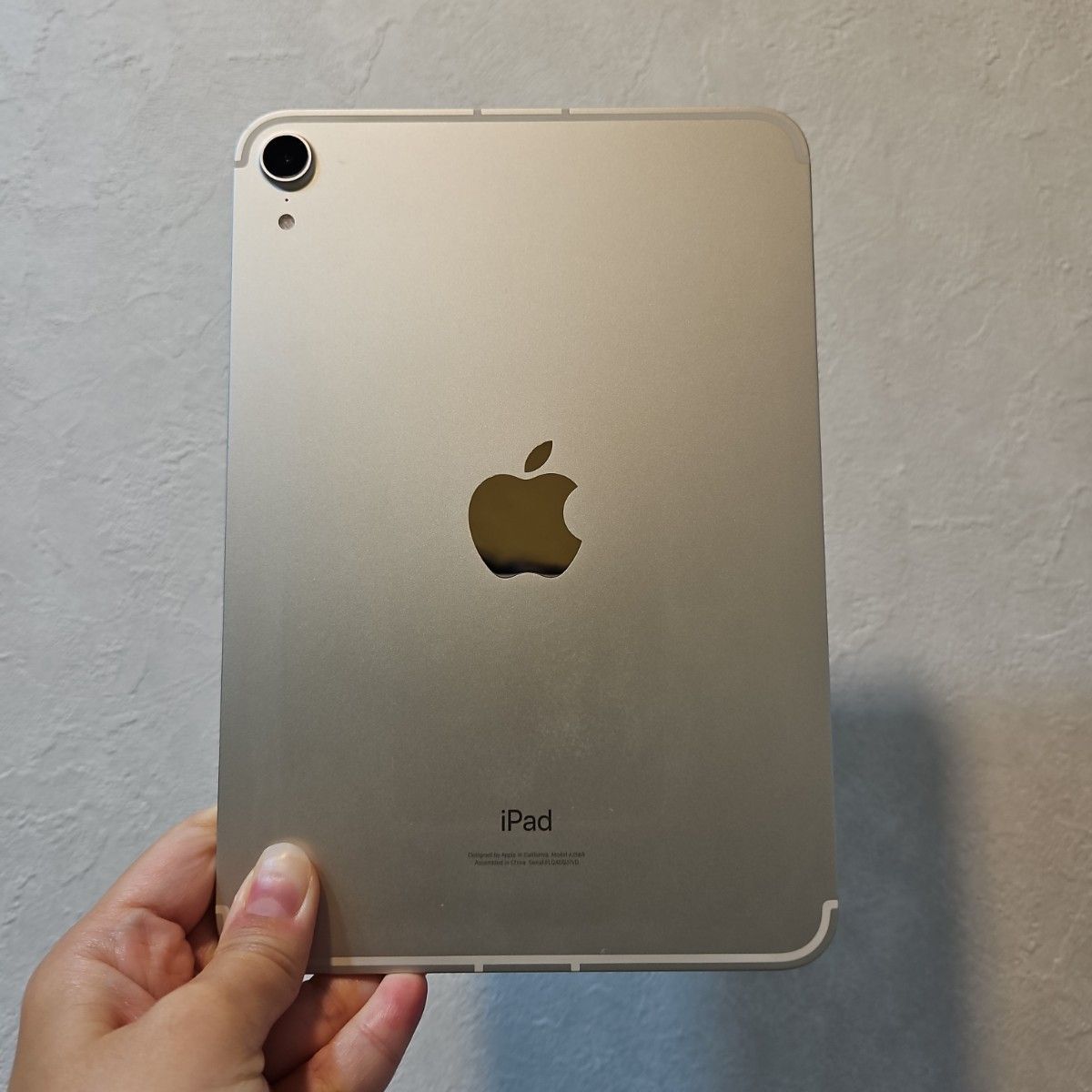 iPad mini6世代 Cellularモデル256GB SIMフリー-