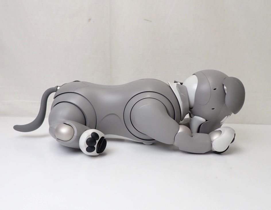 ★SONY/ソニー aibo/アイボ ERS-1000/黒ごまアイス/動作品/電動ロボット/犬/ペット/付属品多数&1931600006_画像4