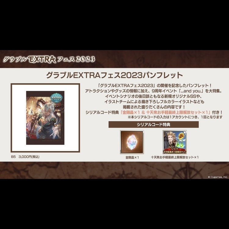 コード通知のみ】グラブルEXTRAフェス2023 パンフレット 特典 コード通知のみ】グラブルEXTRAフェス2023 パンフレット 特典