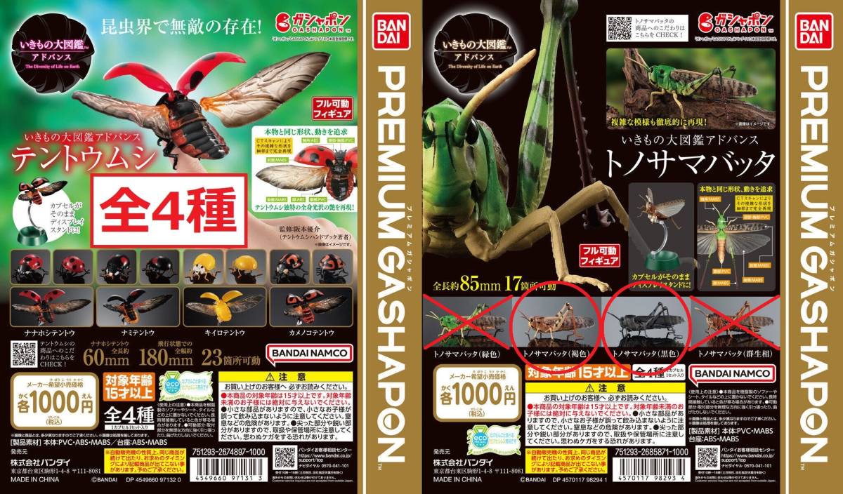 送料無料 いきもの大図鑑アドバンス テントウムシ 全4種 トノサマバッタ 2種 てんとう虫 昆虫 ガチャ ガシャポン フィギュア_画像1