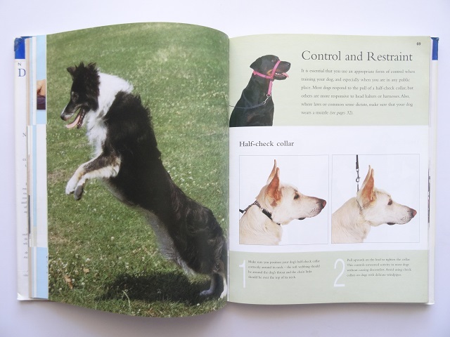  foreign book * dog. upbringing manual book@.. education training 