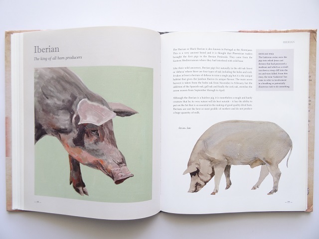  иностранная книга * свинья. сборник репродукций произведение фотоальбом книга@ свинья животное выбор person .. person 