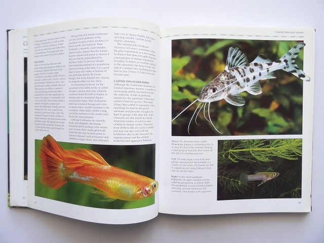  foreign book * aquarium design aquarium photoalbum book@ tropical fish fish breeding 