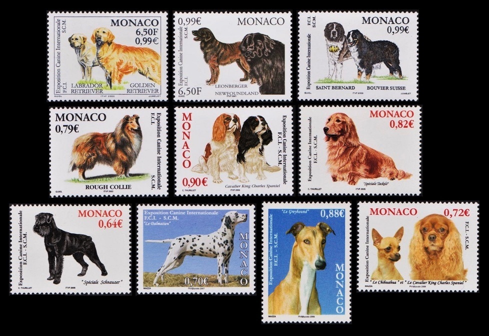 zi 46y5-6M32　モナコ1970-2019年　国際ドックショー・犬・動物・53枚完_画像5