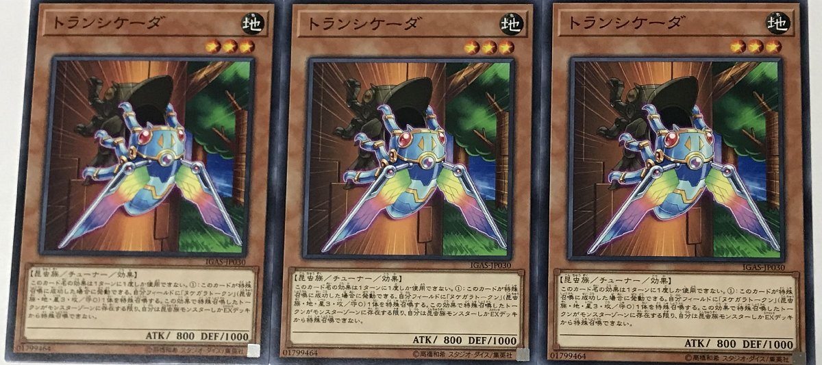 遊戯王 ノーマル 効果モンスター 3枚セット トランシケーダ IGAS_画像1