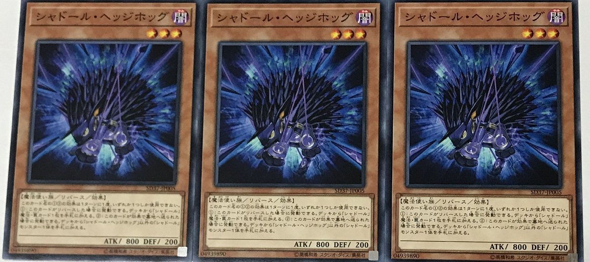 遊戯王 ノーマル 効果モンスター 3枚セット シャドール・ヘッジホッグ SD37_画像1