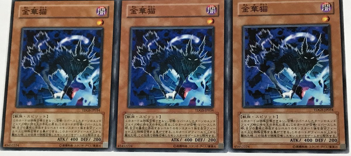 遊戯王 効果モンスター ノーマル 3枚セット 金華猫 TDGS_画像1