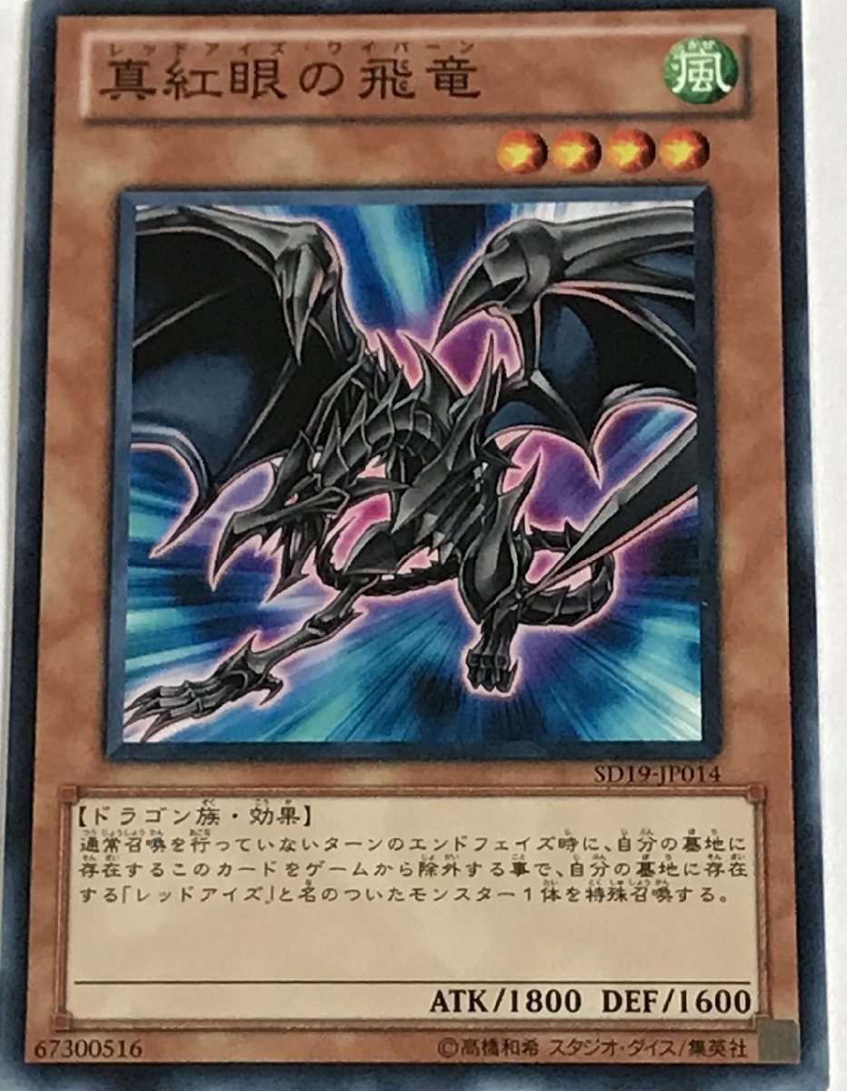 遊戯王 ノーマル 効果モンスター 1枚 真紅眼の飛竜 SD19_画像1