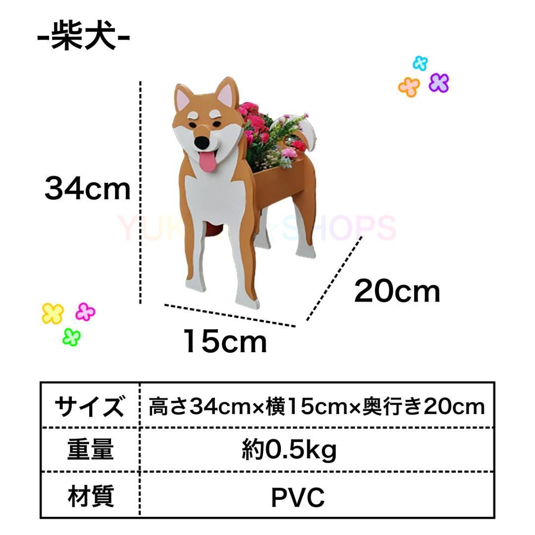 【柴犬】　犬　プランター 鉢植え ガーデニング 植物　園芸　菜園_画像5