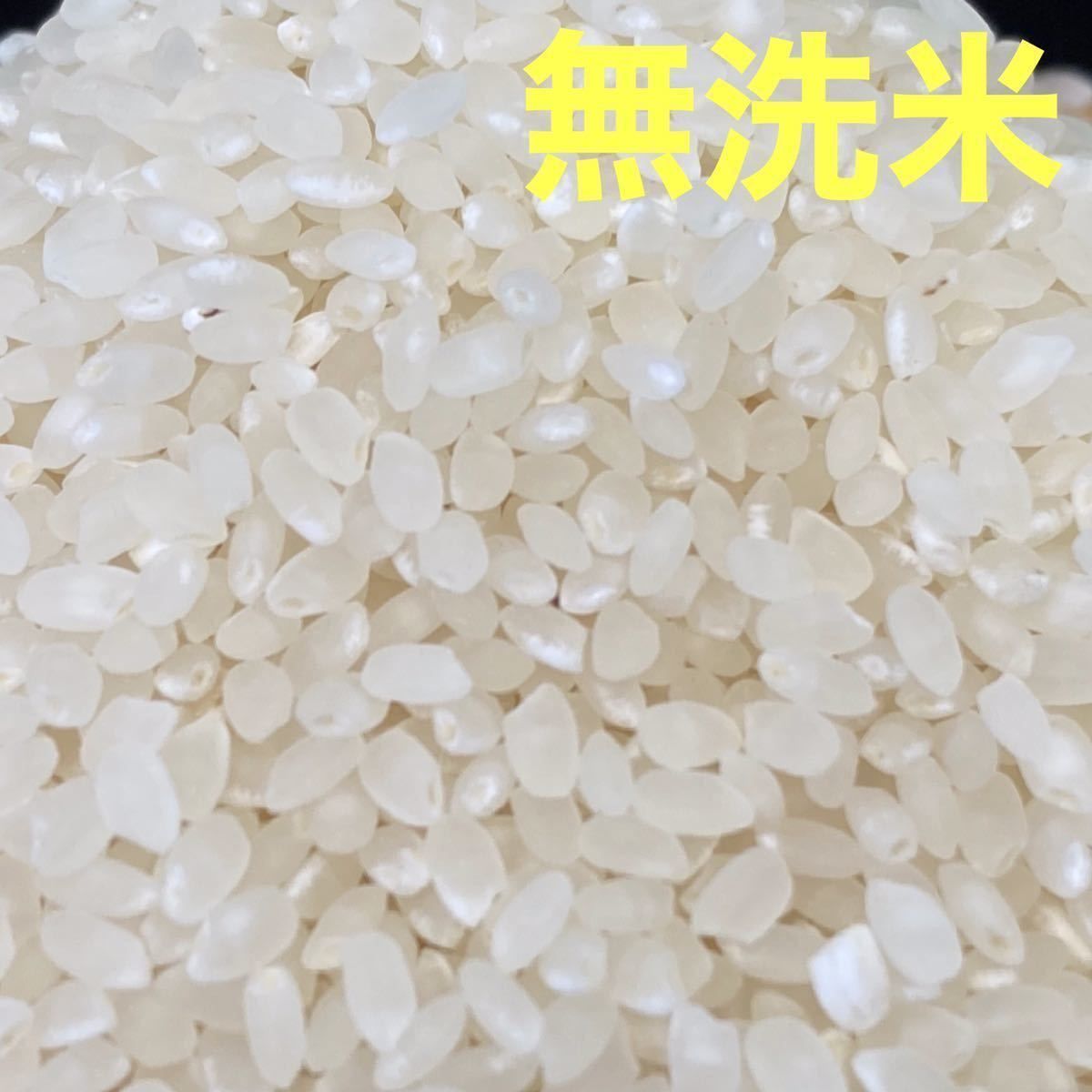 古米 無洗米12合(3合×4袋) 1.8Kg 京都丹波産キヌヒカリ 令和4年産 農家直送_画像3