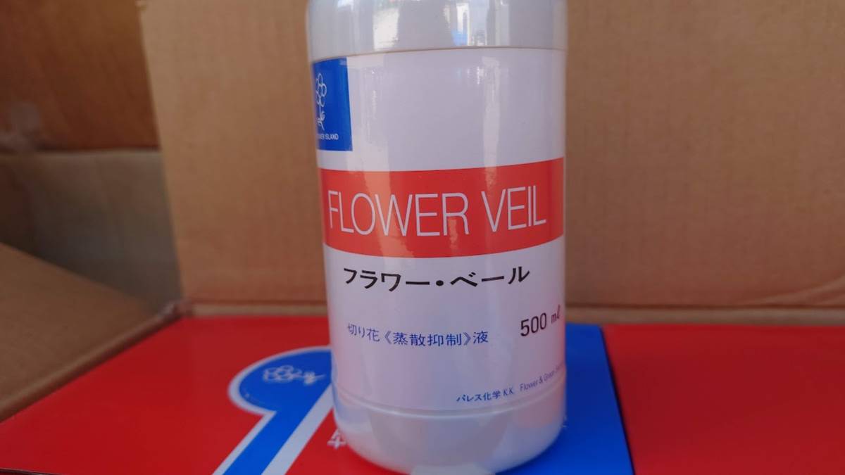 【3本セット】フラワーベールBA+ 500ml 花 切花 栄養剤 促進剤 切花栄養剤 蒸散抑制 鮮度保持（1025YO-1）の画像3