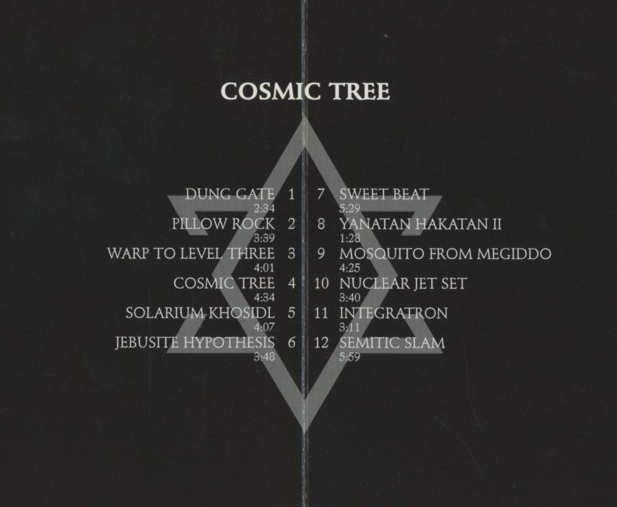 Rabbinical School Dropouts - Cosmic Tree; Michael Friedmann/Scott Paul Levine/Hank Friedmann/Jonathan Rotter; Tzadik, John Zorn_画像5